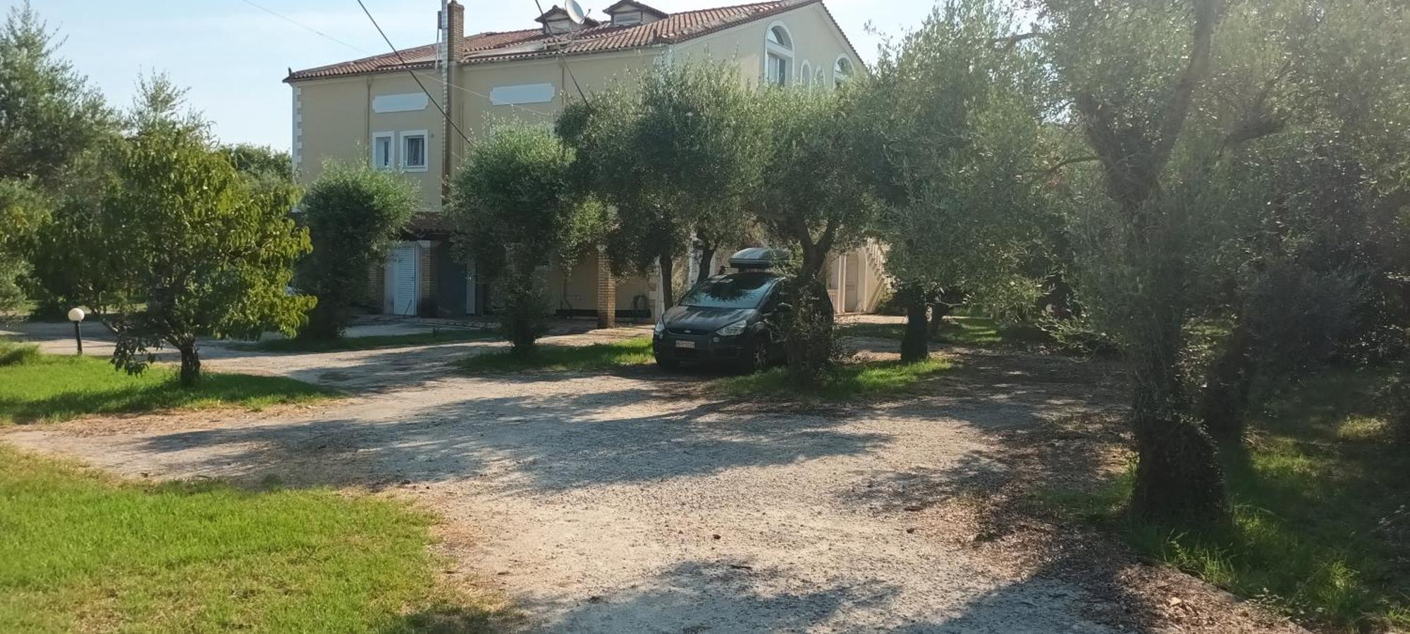 Antonios Olive Garden Acharavi Kerkyra Apartment Exterior photo